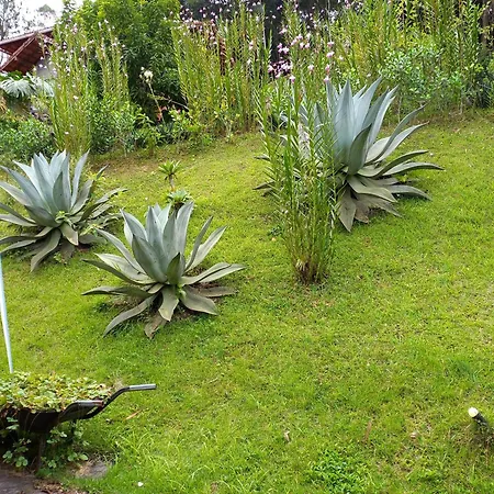 Chale Le Refuge Villa Teresopolis Room photo